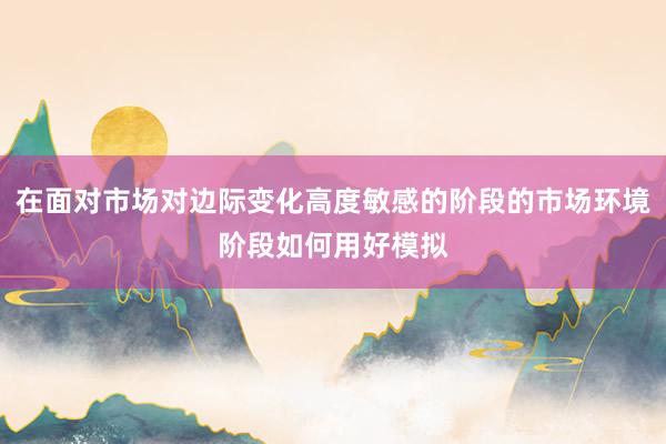 在面对市场对边际变化高度敏感的阶段的市场环境阶段如何用好模拟