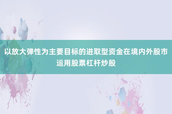 以放大弹性为主要目标的进取型资金在境内外股市运用股票杠杆炒股